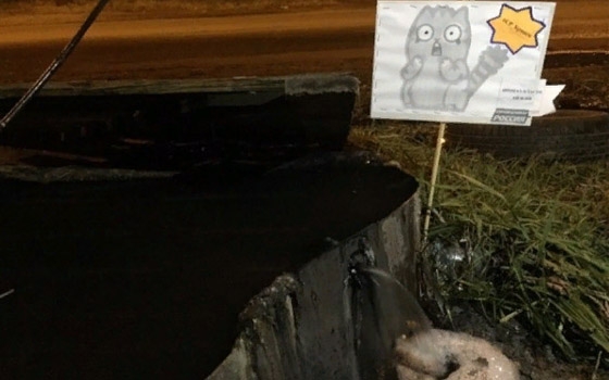 «Справедливороссы» украсили котиками текущую канализацию у «Брянконфи» «Справедливороссы» украсили котиками текущую канализацию у «Брянконфи»