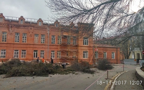 В Брянске спилили полувековые ели у Винного замка