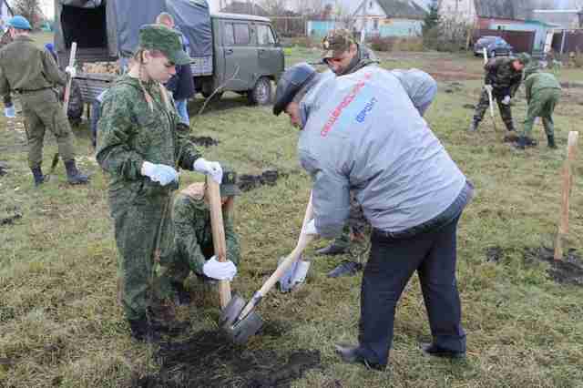 В Белгородской области активисты ОНФ высадили липовую рощу в память о героях