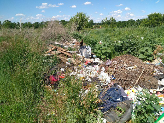 Область в ТОПе. Как активисты ОНФ подводили итоги работы за год в Белгородской области