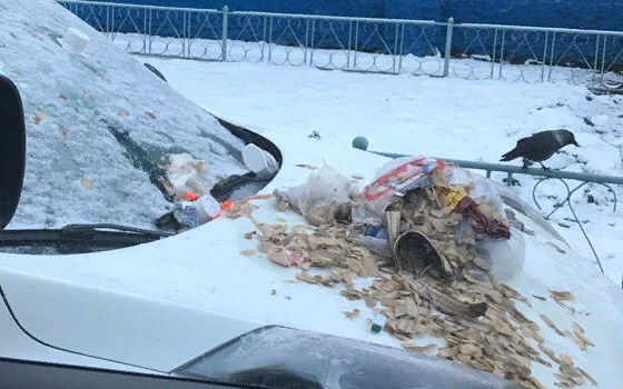 В Брянске «мститель» вывалил мусор на припаркованную машину В Брянске «мститель» вывалил мусор на припаркованную машину