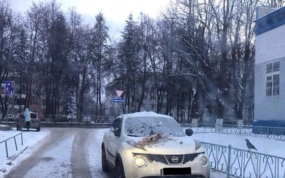 В Брянске «мститель» вывалил мусор на припаркованную машину В Брянске «мститель» вывалил мусор на припаркованную машину