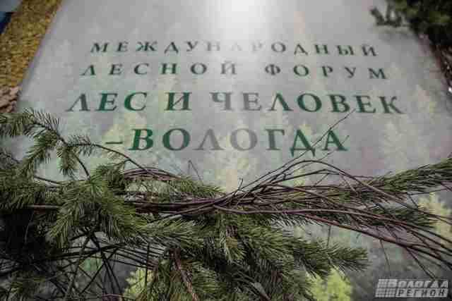 В Вологде вручили медали выставки «Российский лес» В Вологде вручили медали выставки «Российский лес»