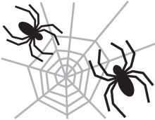 spiders-web