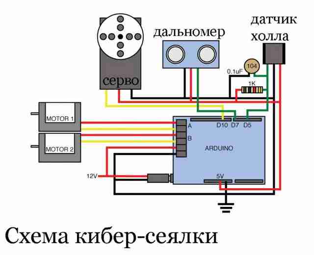 kiberseyalka-valli-na-gazone114