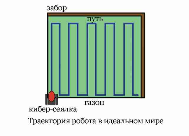 kiberseyalka-valli-na-gazone131