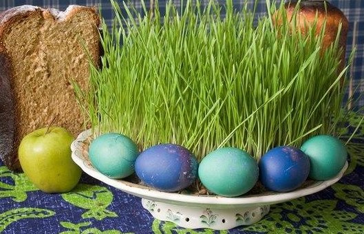 Зеленая лужайка на Пасху своими руками