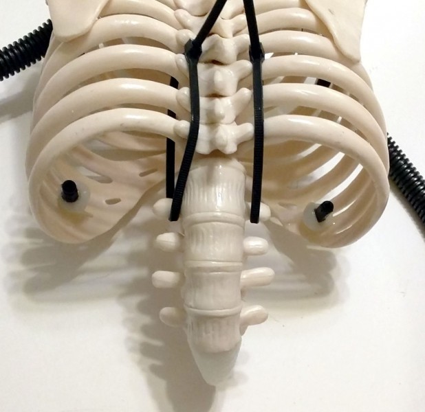 30