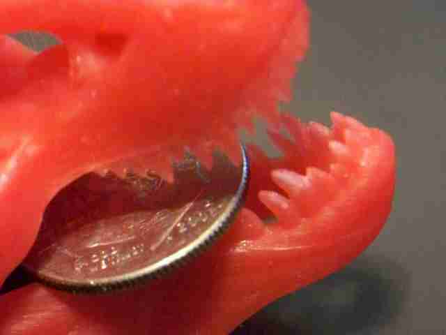 himera-3d-printer-s-vyisokim-kachestvom-pechati-chast-234