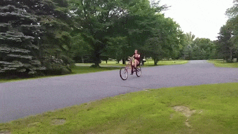 Intro-GIF-1