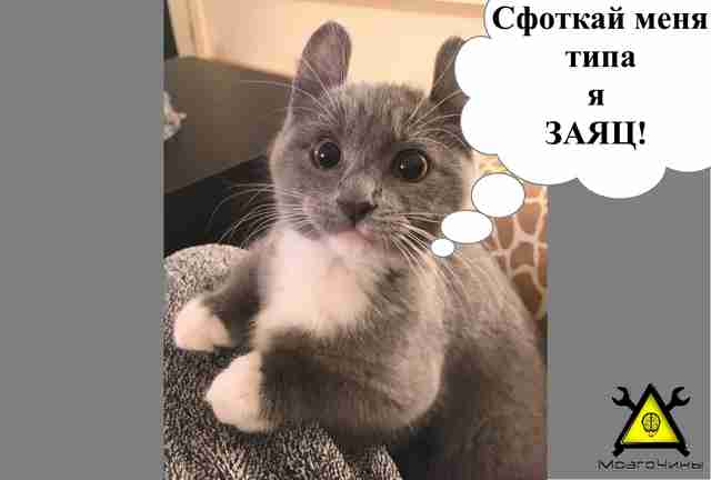 Дайте мне поддон, и я сделаю платформу для панорамной съёмки своими руками