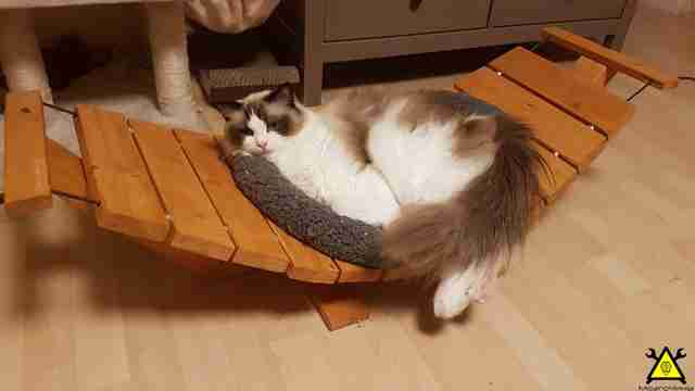 Как сделать гамак для кошек своими руками Как сделать гамак для кошек своими руками