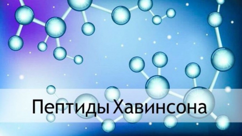 Пептиды Хавинсона: Перспективы для Здоровья, Спорта и Замедления Старения Пептиды Хавинсона: Перспективы для Здоровья, Спорта и Замедления Старения