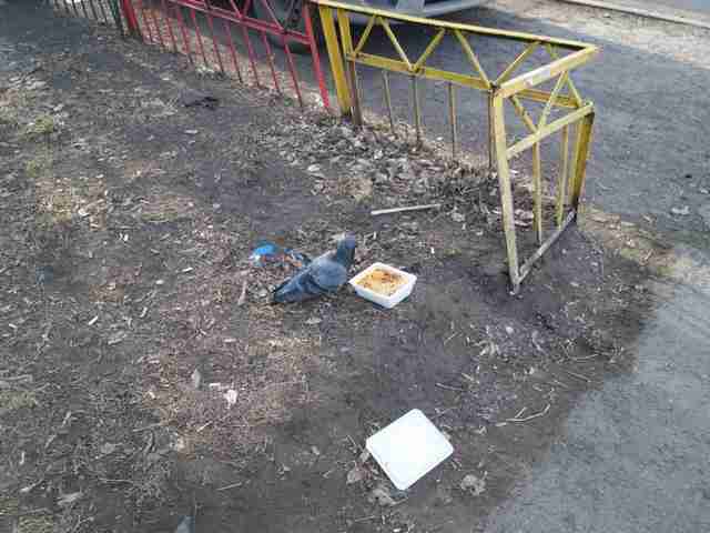 Странности (30 фото)