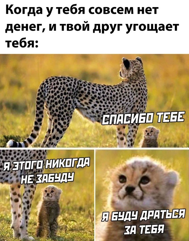 Приколы на вечер (30 фото) Приколы на вечер (30 фото)