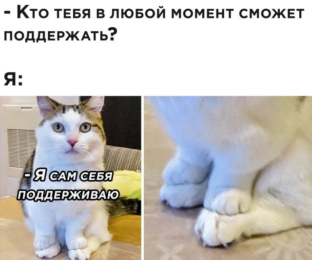 Приколы на вечер (30 фото) Приколы на вечер (30 фото)