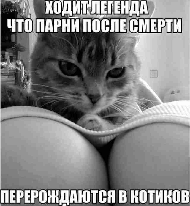 Пошлые мемы и картинки (60 фото)