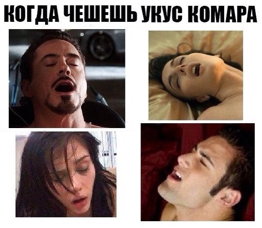 Пошлые мемы и картинки (60 фото)