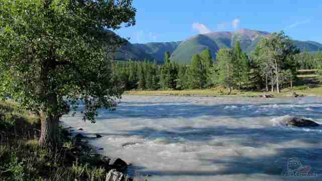 Река Чуя, окрестности Курая