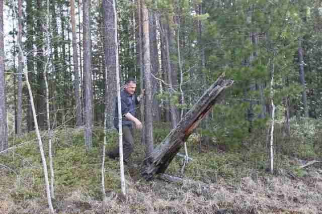 лежневка на болоте из подручных средств