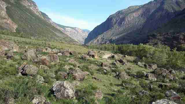 Курумник в долине реки Чулышман