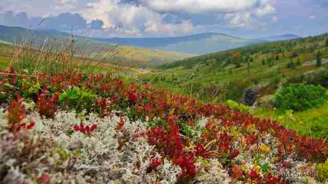Краски Северного Урала Краски Северного Урала