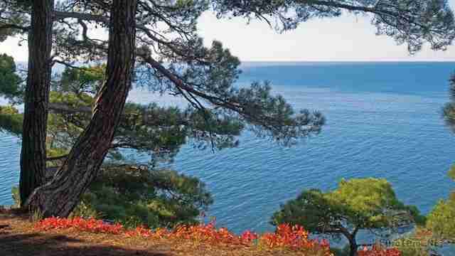 Море в Краснодарском крае