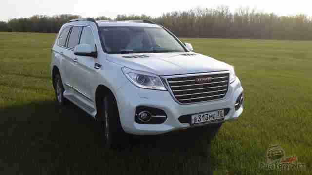Белый Great Wall Haval на траве Белый Great Wall Haval на траве