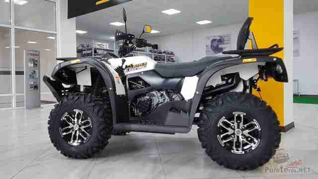 Чёрно-белый Stels Leopard 650 Y в помещении Чёрно-белый Stels Leopard 650 Y в помещении