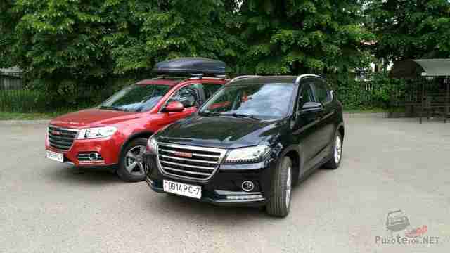 Два Great Wall Haval на фоне деревьев Два Great Wall Haval на фоне деревьев