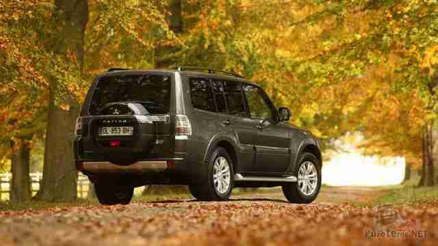 Вид сзади Mitsubishi Pajero среди деревьев