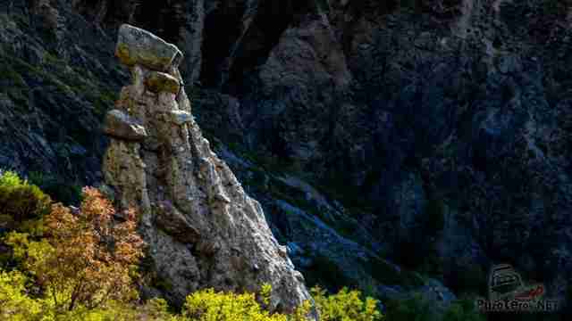 Алтайский каменный гриб Алтайский каменный гриб