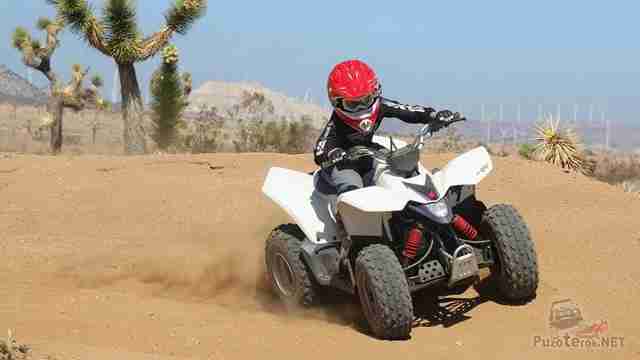 Гонщик на Suzuki Quadsport Z90 в саванне