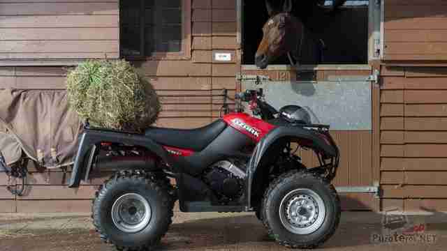 Квадроцикл Suzuki Ozark 250 у конюшни
