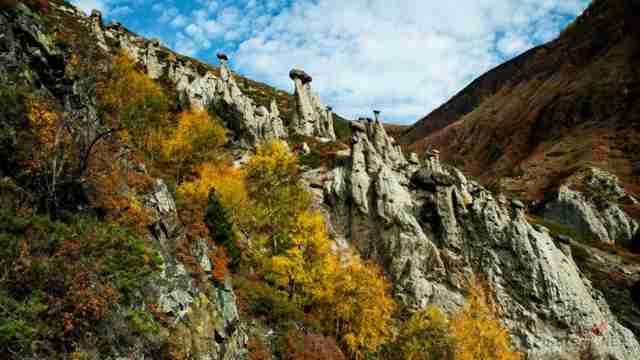 Осень в долине Чулышмана Осень в долине Чулышмана