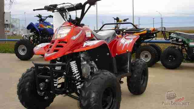 Stels ATV 110 СС рядом с квадроциклами