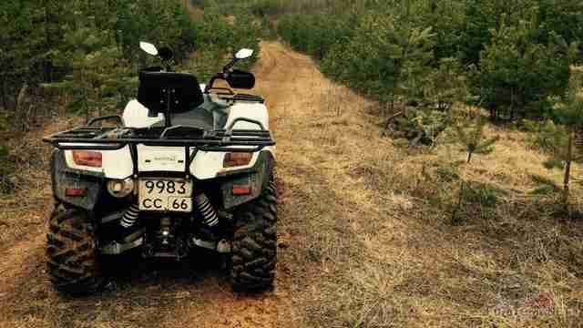 Stels ATV 600 gt на узкой лесной дороге