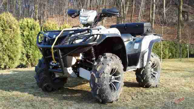 Suzuki QUADMASTER 750 на фоне леса
