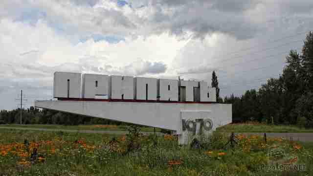 Стела Припять в цветущем поле Стела Припять в цветущем поле