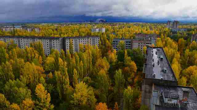 Живописные осенние джунгли на месте города Живописные осенние джунгли на месте города