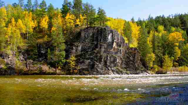 Осенний лес на берегу реки Баргузин