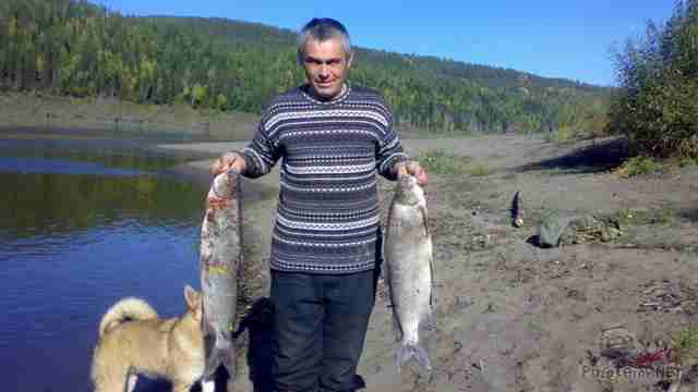 Рыбак с уловом - два пятикилограмовых Чира