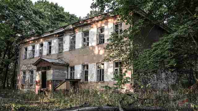 Жилой корпус среди летней зелени