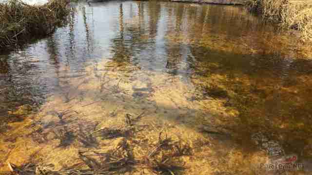Чистая вода в ручье Чистая вода в ручье