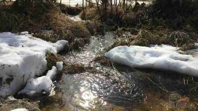 Весенний ручей с прозрачной водой Весенний ручей с прозрачной водой