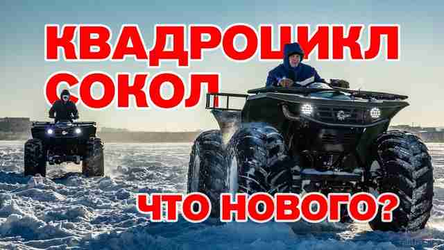 Квадроцикл Сокол (видео) Квадроцикл Сокол (видео)