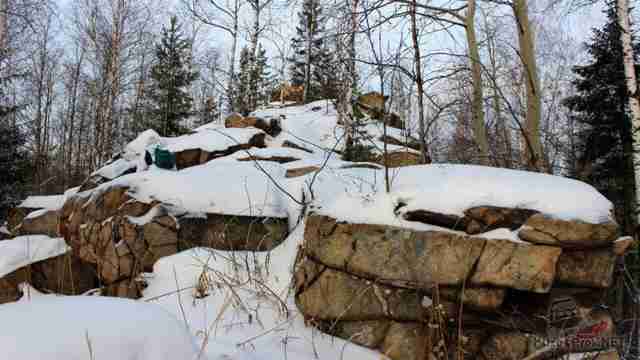 Геоморфологический, геологический и ботанический памятник природы