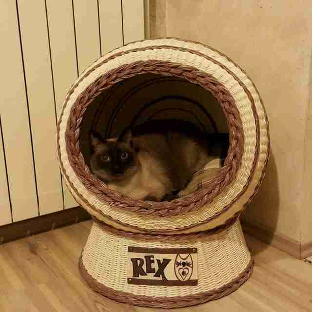 Домик для кошки своими руками (1) Домик для кошки своими руками (1)