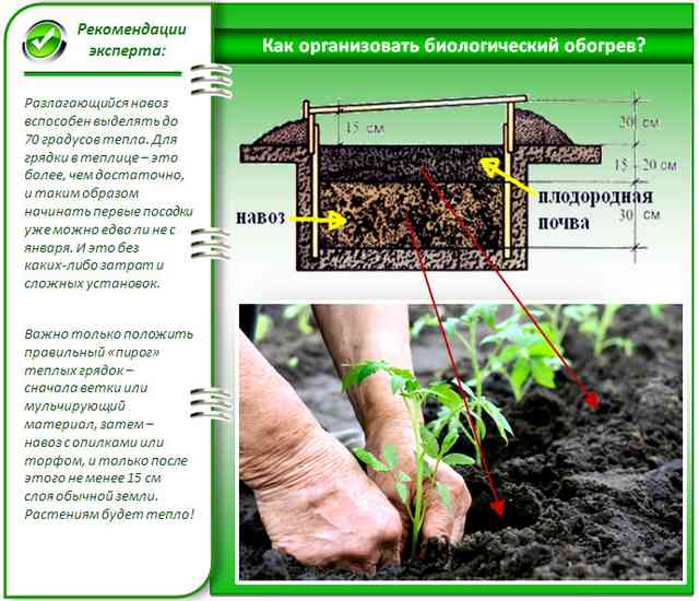 Как правильно ставить бионагрев