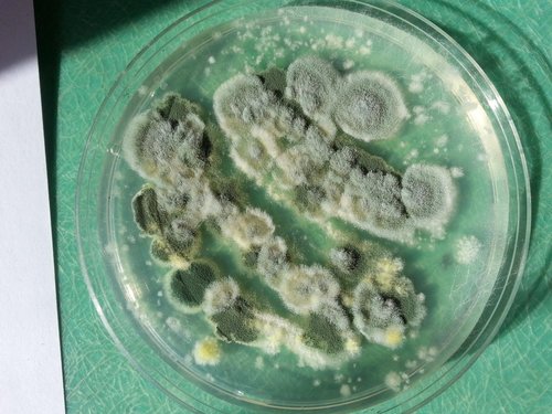 Как снять и почистить испаритель кондиционера автомобиля? Как снять и почистить испаритель кондиционера автомобиля?